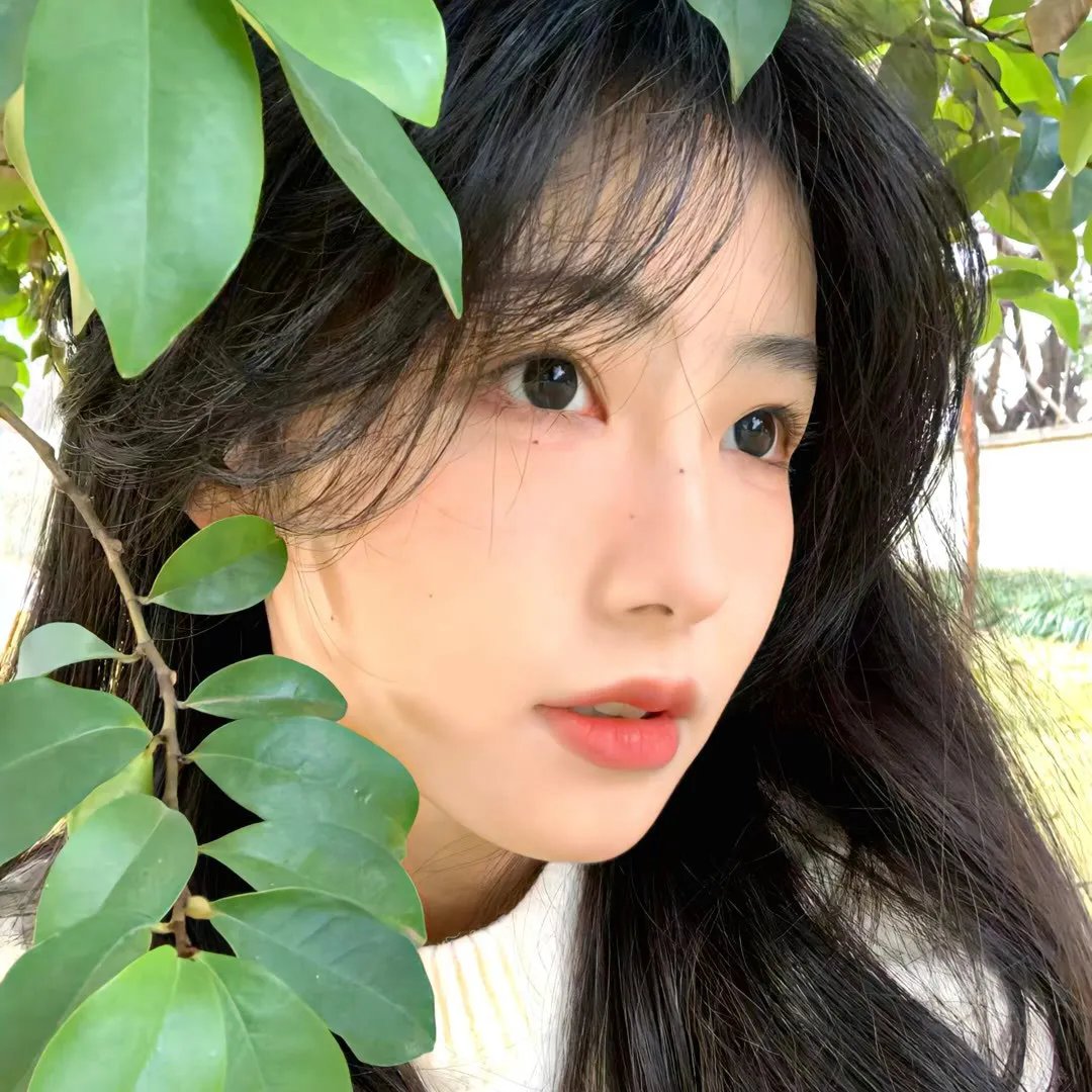 女子大乱斗